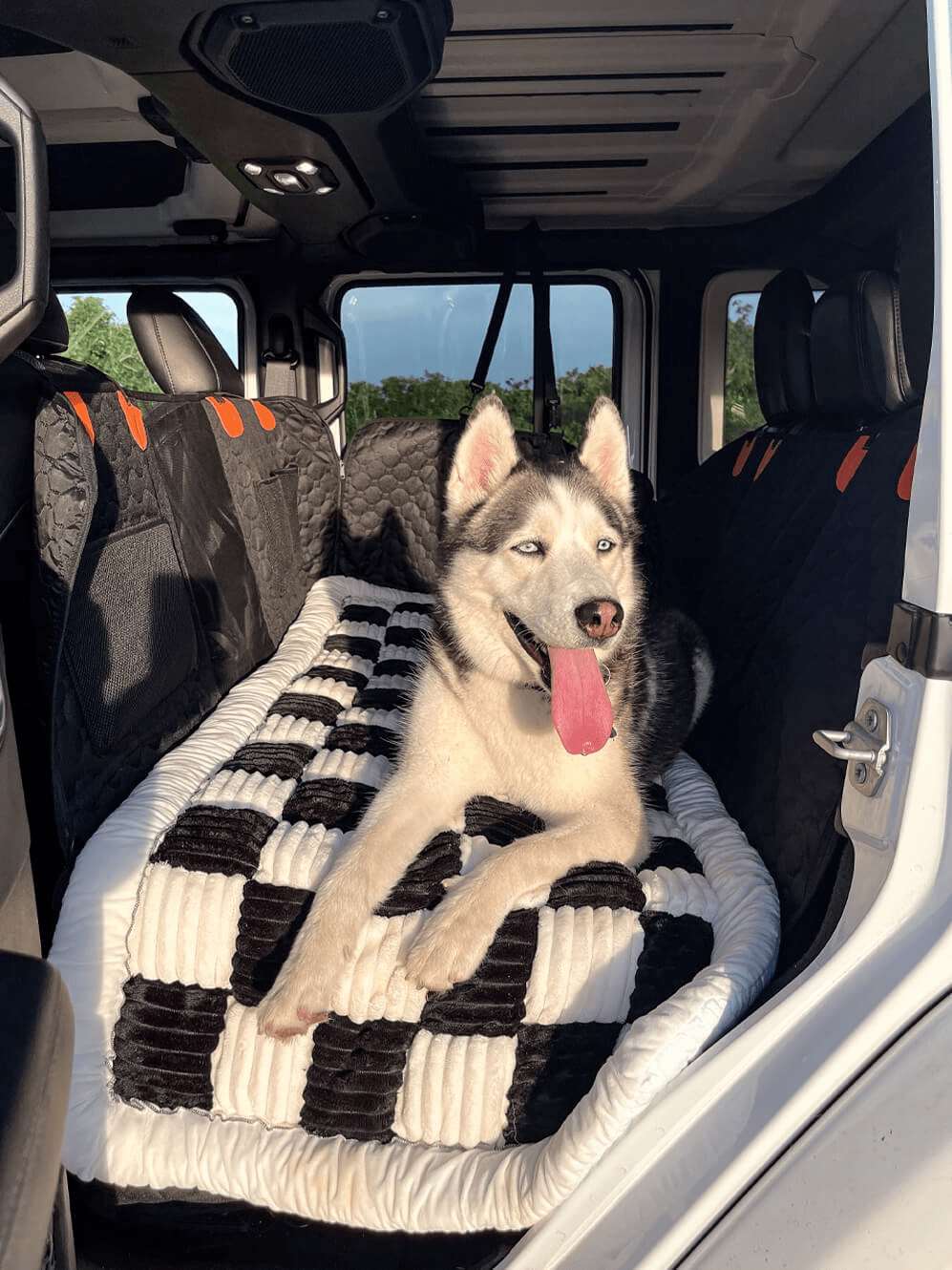 Premium Dog Bed - For The PawGuard™