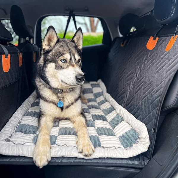 Premium Dog Bed - For The PawGuard™