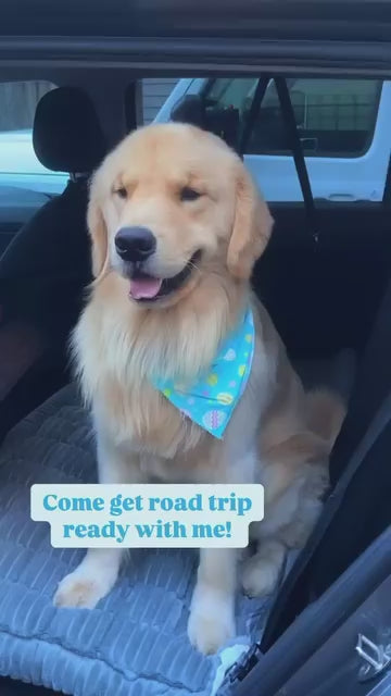 PawGuard™ Premium Pet Travel Seat Cover video