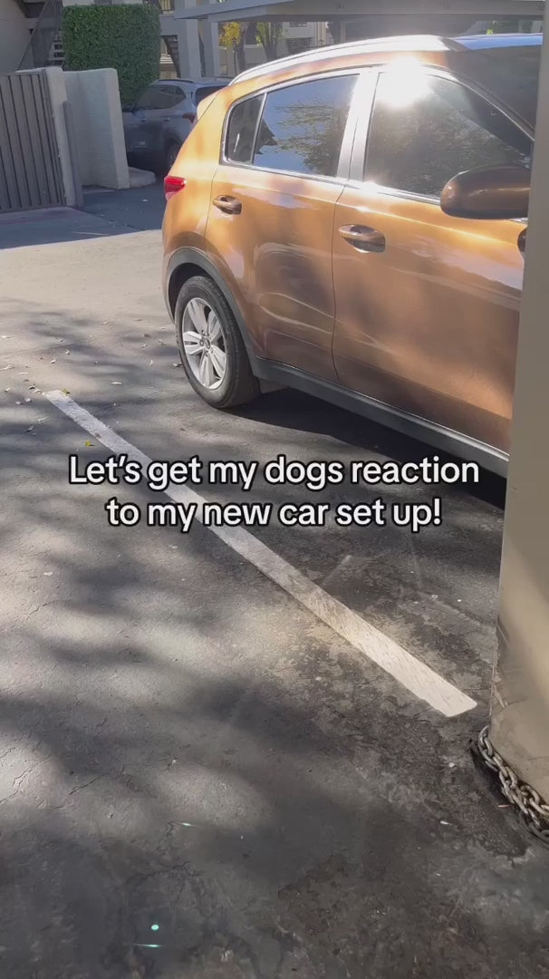 PawGuard™ Premium Pet Travel Seat Cover video